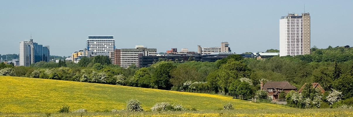 Basingstoke Skyline